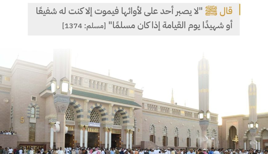 هنيئًا لأهلها شفاعة خير المرسلين ﷺ